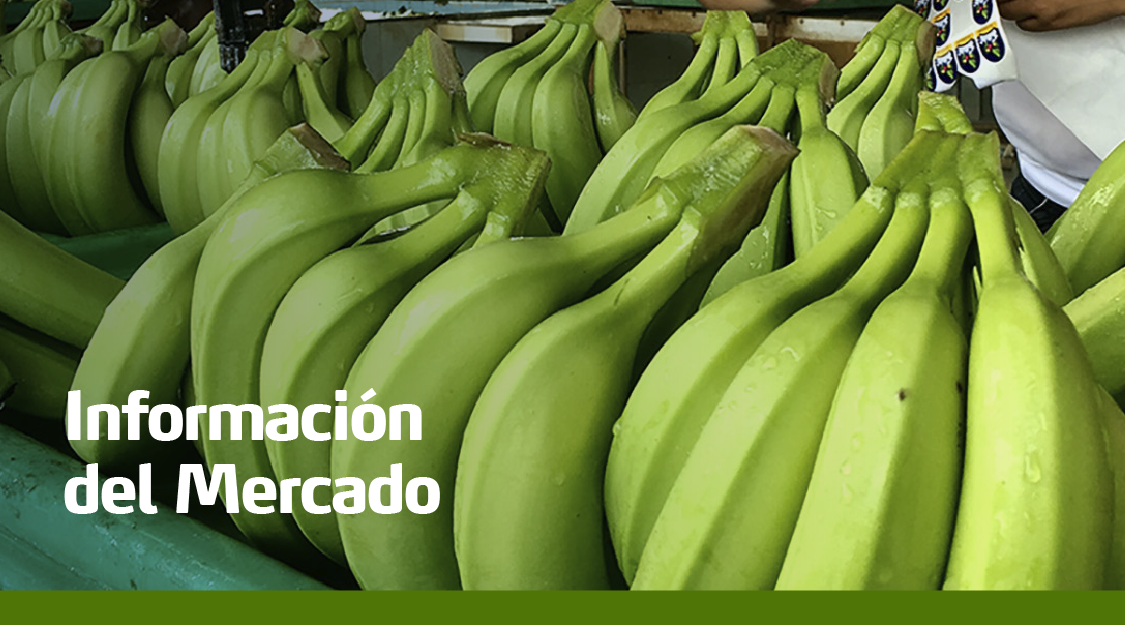 datos de mercado en ecuador