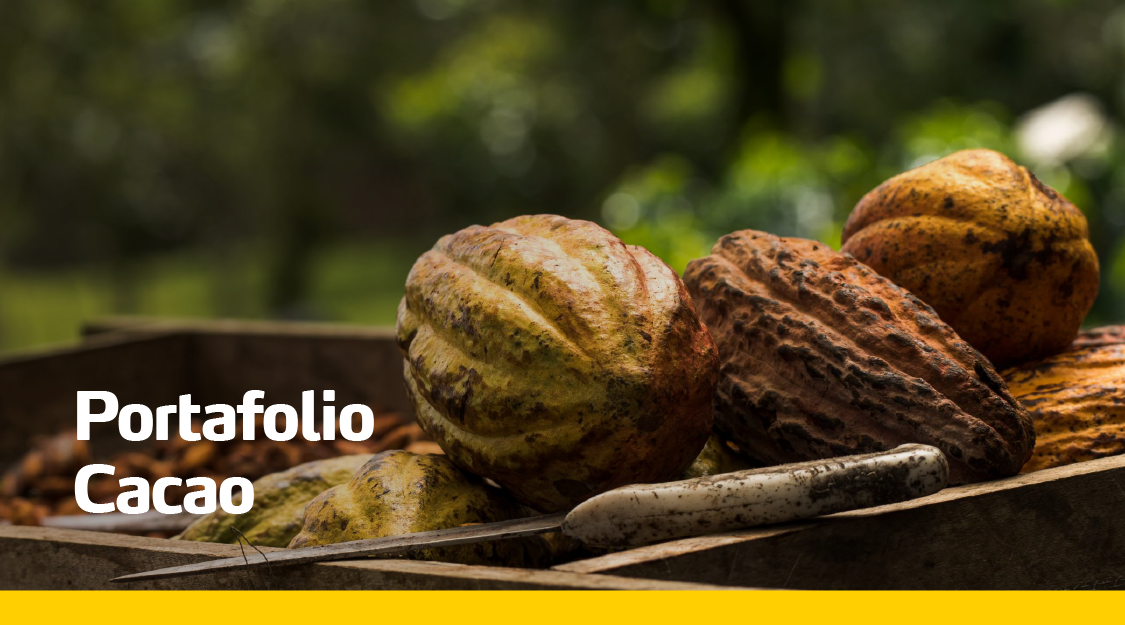 Portafolio cacao
