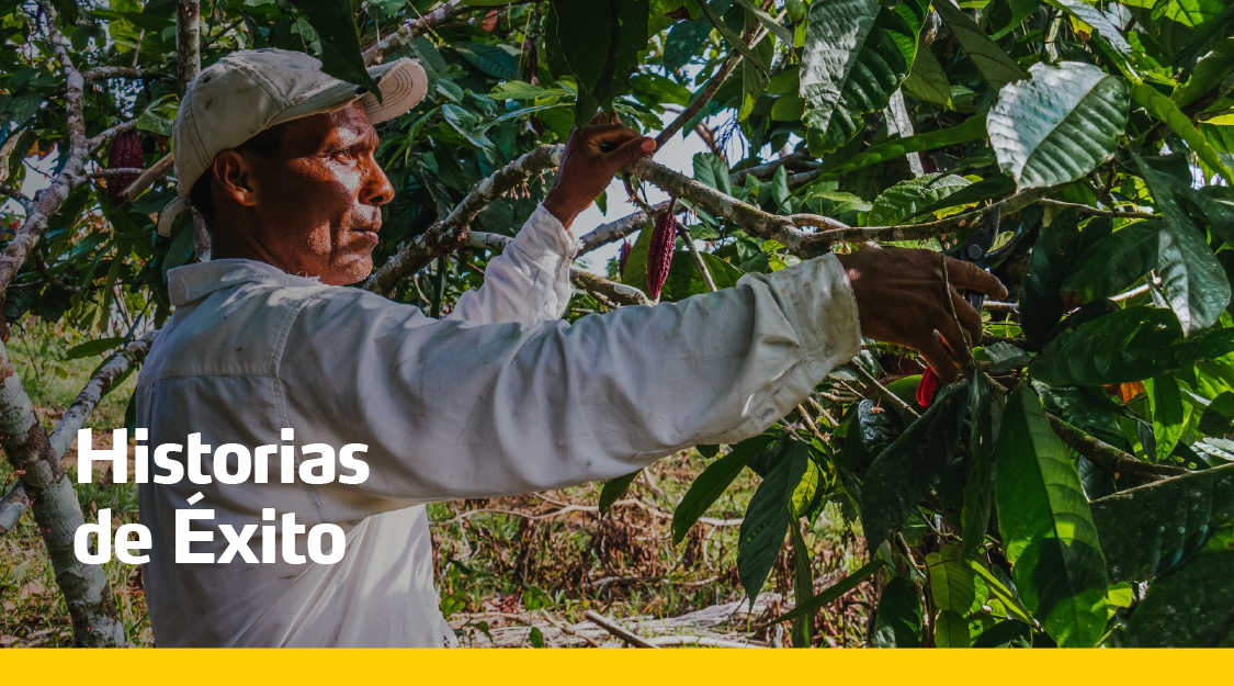 Historias de exito cacao