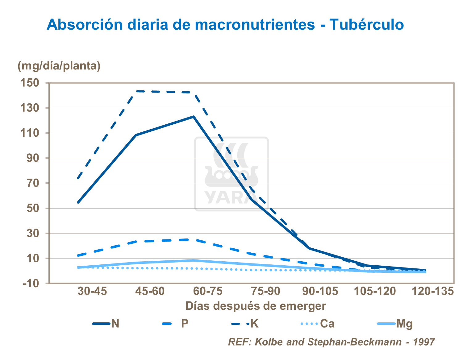 Absorción diaria de macronutrientes en el tubérculo